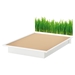 Step One Queen Platform Bed - Grass Decal, Pure White - SS-8050098K