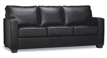Leather Sofa Beds