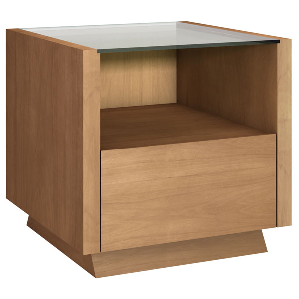 Contemporary End Table with Drawer 