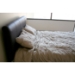 Wakefield Queen Leather Bed in Brown - WI-B-16-509