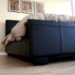 Wakefield Queen Leather Bed in Brown - WI-B-16-509