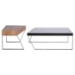 Divyde 2 Piece Coffee Table Set - WI-CT-169