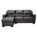 Drake Leather Chaise Sleeper Sofa - Black - WI-LS3025X