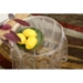 Blair Clear Acrylic Tablecloth Illusion Table - WI-RT-601-CLR